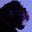 Image No. 6738